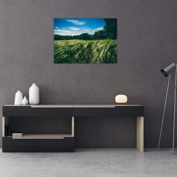 Slika livade i šume (70x50 cm)