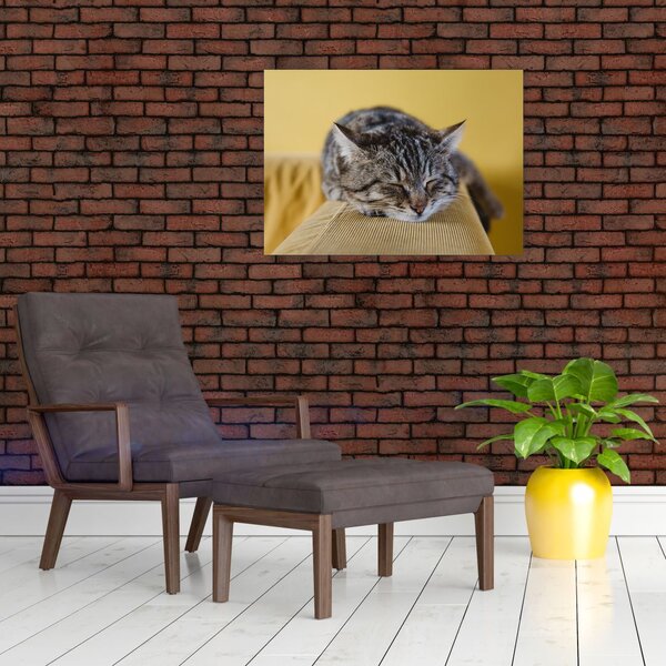 Slika mačke na kauču (70x50 cm)