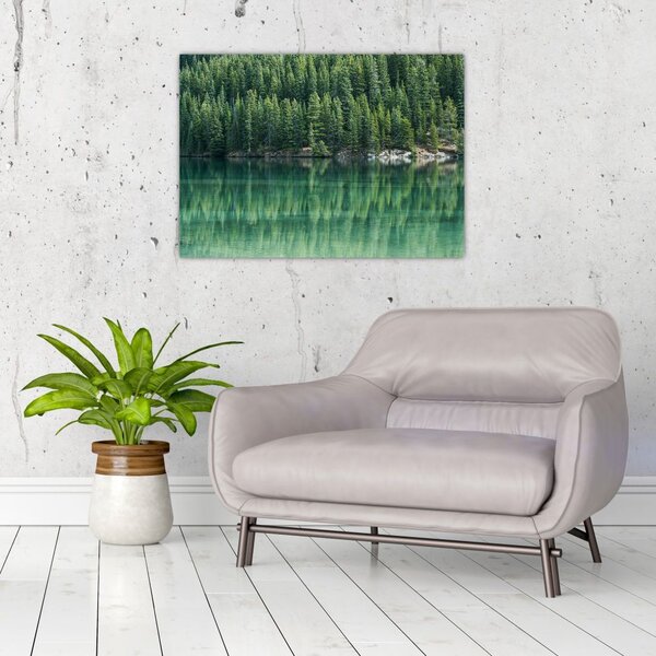 Slika - Četinari uz jezero (70x50 cm)