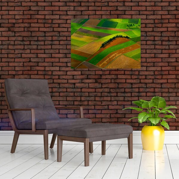 Slika - Polja, livade (70x50 cm)