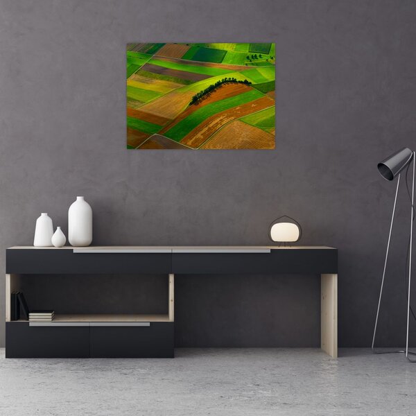 Slika - Polja, livade (70x50 cm)