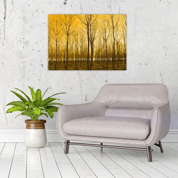 Slika - Plantaža drveća (70x50 cm)