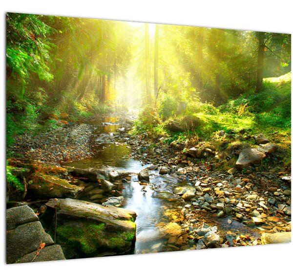 Staklena slika rijeke u zelenoj šumi (70x50 cm)