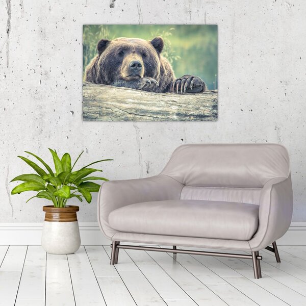 Staklena slika medvjeda (70x50 cm)