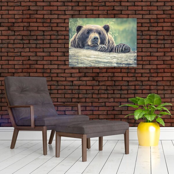 Staklena slika medvjeda (70x50 cm)