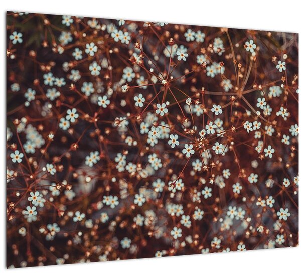 Staklena slika cvijeta šumske potočnice (70x50 cm)