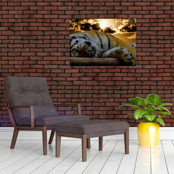 Staklena slika usnulog tigra (70x50 cm)