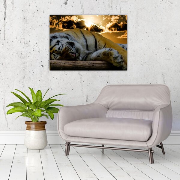 Staklena slika usnulog tigra (70x50 cm)