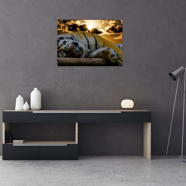 Staklena slika usnulog tigra (70x50 cm)