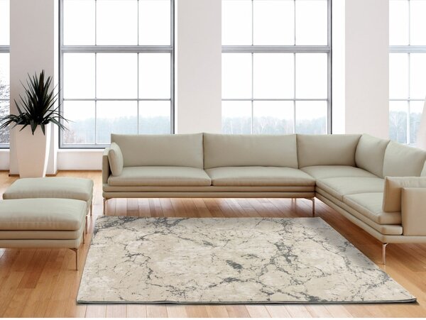 Sivi/bež tepih 160x230 cm Sensation – Universal
