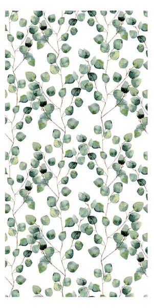 Tapeta - Lišće eukaliptusa