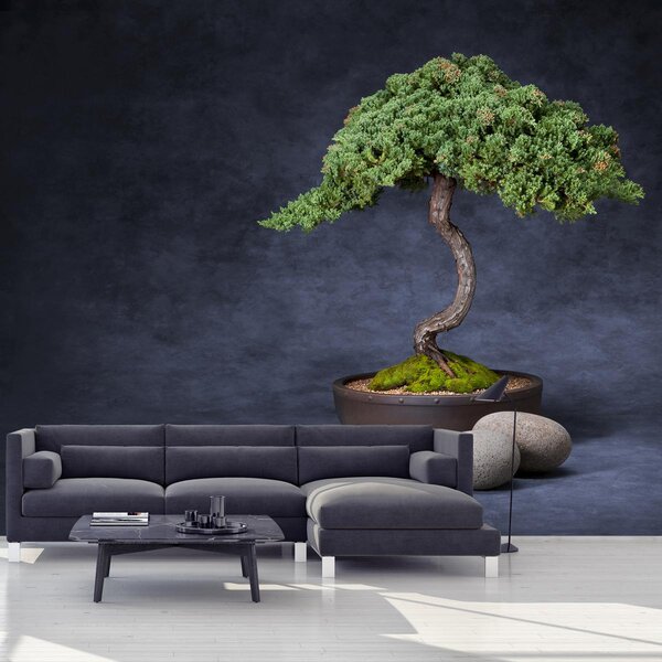 Foto tapeta - Bonsai (147x102 cm)