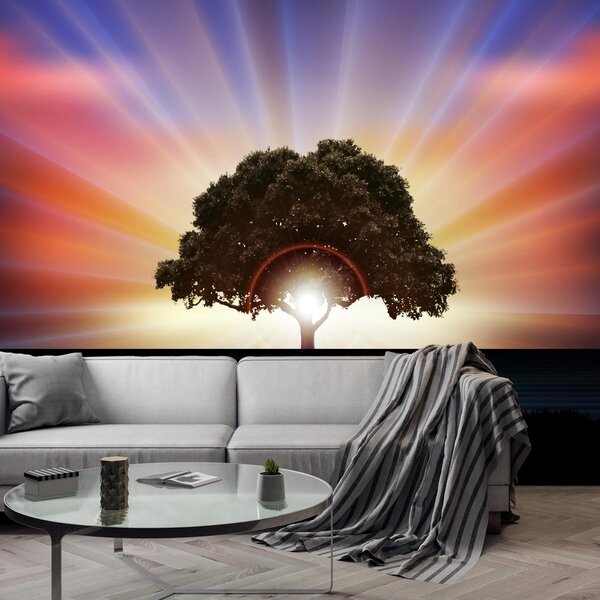 Foto tapeta - Drvo u sjaju sunca (147x102 cm)
