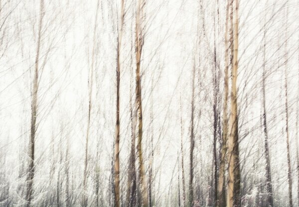 Foto tapeta - Breze (147x102 cm)