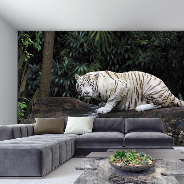Foto tapeta - Bijeli tigar (147x102 cm)