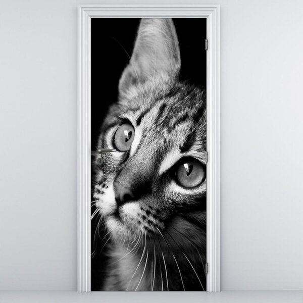 Foto tapeta za vrata - Mačka (95x205cm)