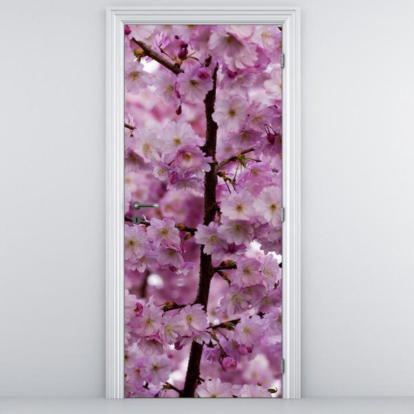Foto tapeta za vrata - cvijetovi stabla jabuke (95x205cm)