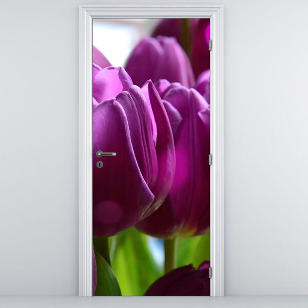 Foto tapeta za vrata - Tulipani (95x205cm)