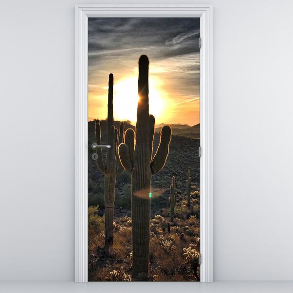Foto tapeta za vrata - Kaktusi na suncu (95x205cm)
