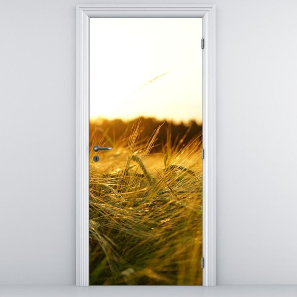 Foto tapeta za vrata - Kapi rose na travi (95x205cm)