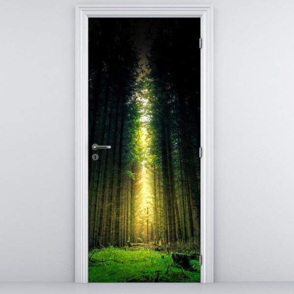 Foto tapeta za vrata - Tamna šuma (95x205cm)