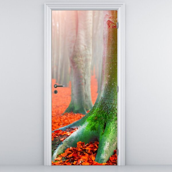 Foto tapeta za vrata - Drveće (95x205cm)