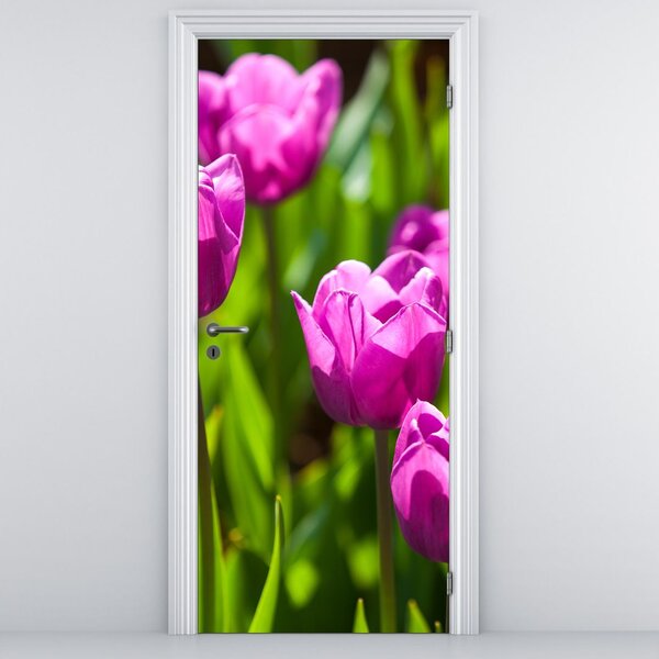 Foto tapeta za vrata - Tulipani na livadi (95x205cm)