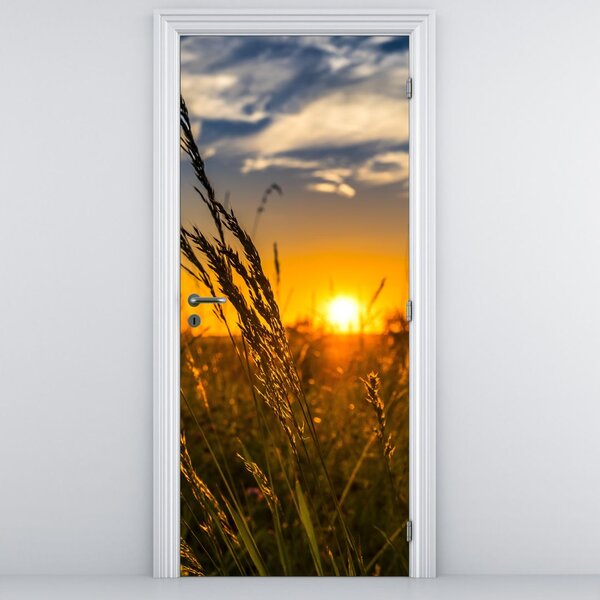 Foto tapeta za vrata - Polje na zalasku sunca (95x205cm)