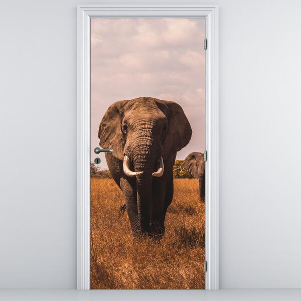 Foto tapeta za vrata - Dolazak slona (95x205cm)