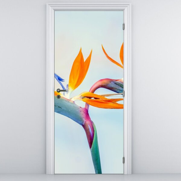 Foto tapeta za vrata - Cvijetovi Strelicije (95x205cm)