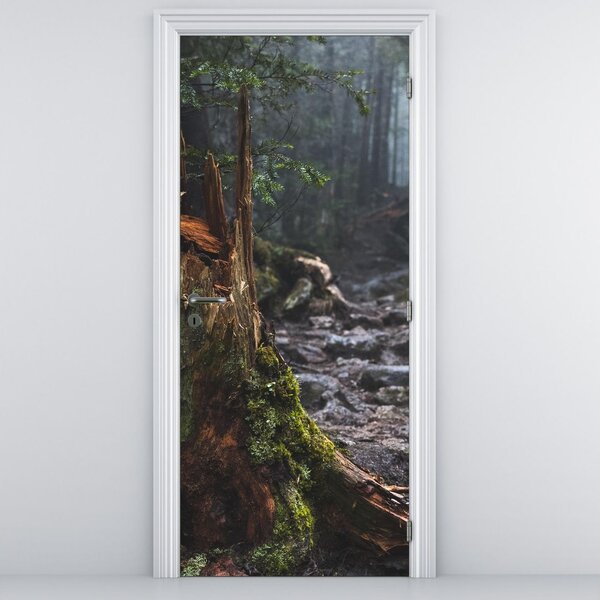 Foto tapeta za vrata - U šumi (95x205cm)