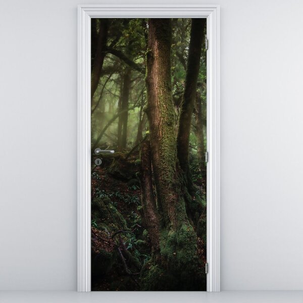 Foto tapeta za vrata - Tajanstvena šuma (95x205cm)