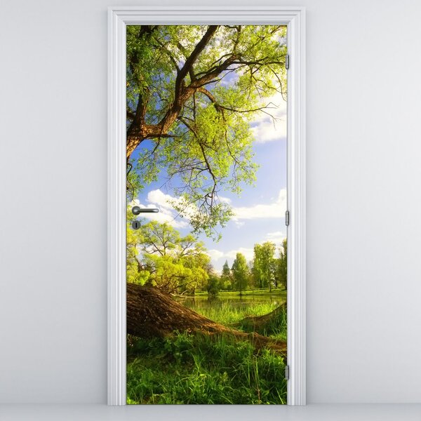 Foto tapeta za vrata - Proljetna livada (95x205cm)