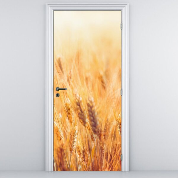 Foto tapeta za vrata - Polje sa žitom (95x205cm)