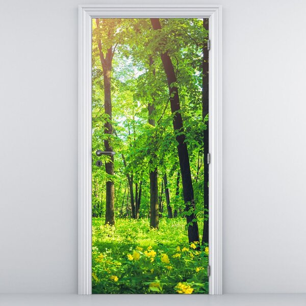 Foto tapeta za vrata - Proljetna listopadna šuma (95x205cm)