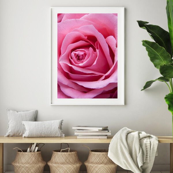 Plakat - Ružičasta ruža (A4)