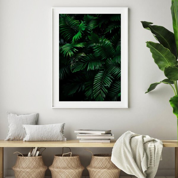 Plakat - Palme u džungli (A4)