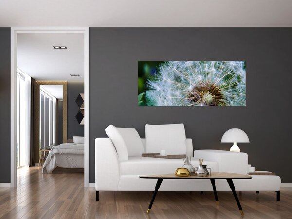 Slika ocvalog maslačka (120x50 cm)
