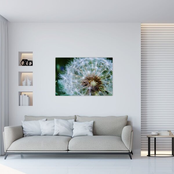 Slika ocvalog maslačka (90x60 cm)