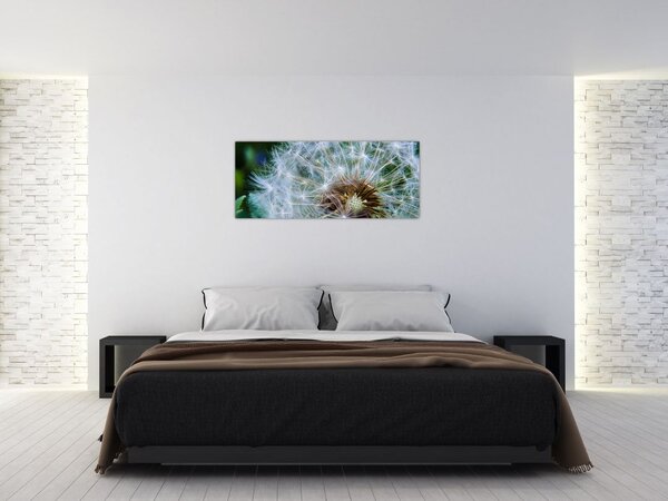 Slika ocvalog maslačka (120x50 cm)