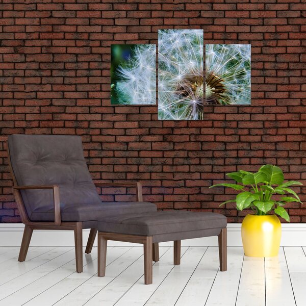 Slika ocvalog maslačka (90x60 cm)