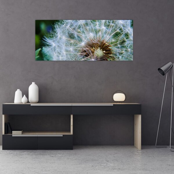 Slika ocvalog maslačka (120x50 cm)