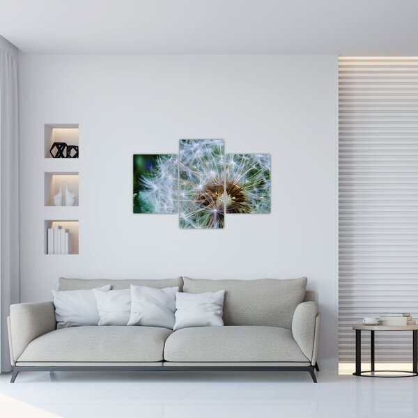 Slika ocvalog maslačka (90x60 cm)