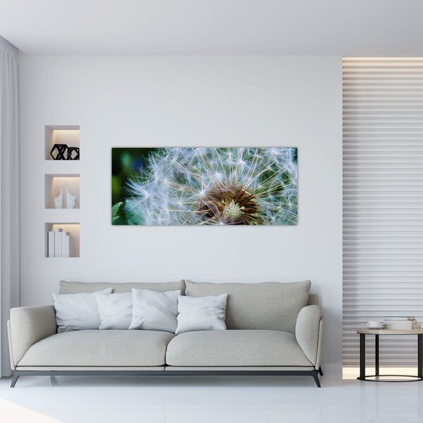 Slika ocvalog maslačka (120x50 cm)