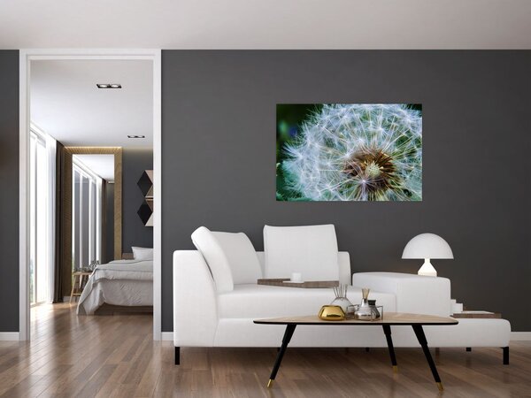 Slika ocvalog maslačka (90x60 cm)