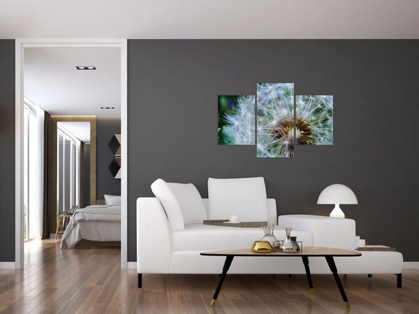 Slika ocvalog maslačka (90x60 cm)