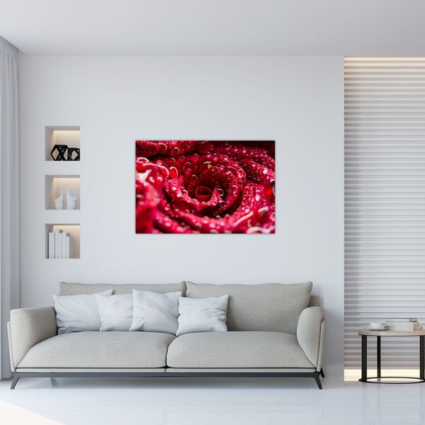 Slika cvijeta crvene ruže (90x60 cm)