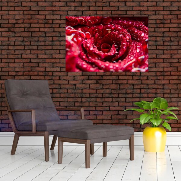 Slika cvijeta crvene ruže (90x60 cm)