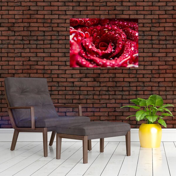Slika cvijeta crvene ruže (70x50 cm)