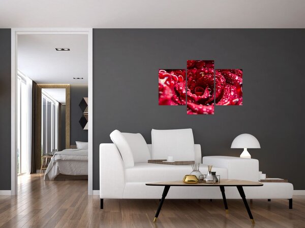 Slika cvijeta crvene ruže (90x60 cm)
